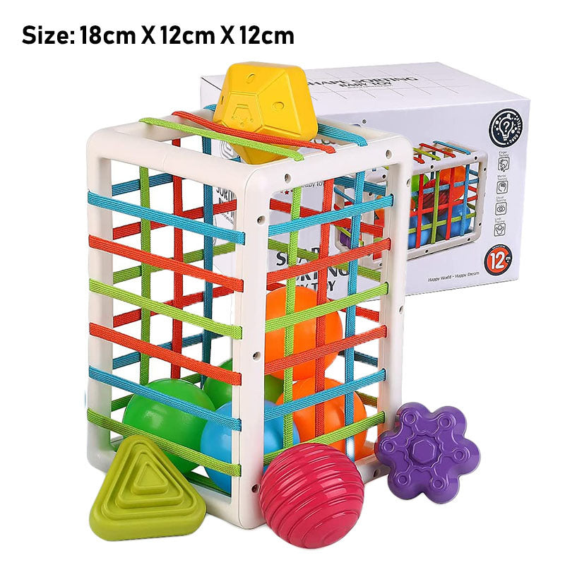 Montessori Grip Training Toy