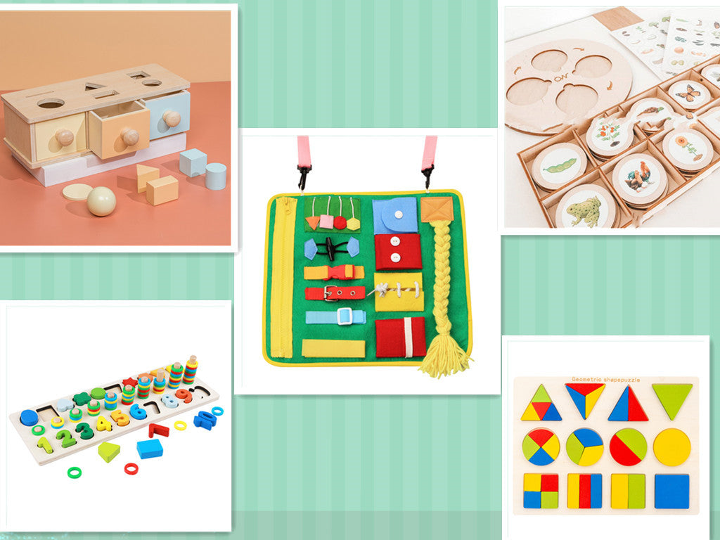 Montessori Life Cycle Tray Set