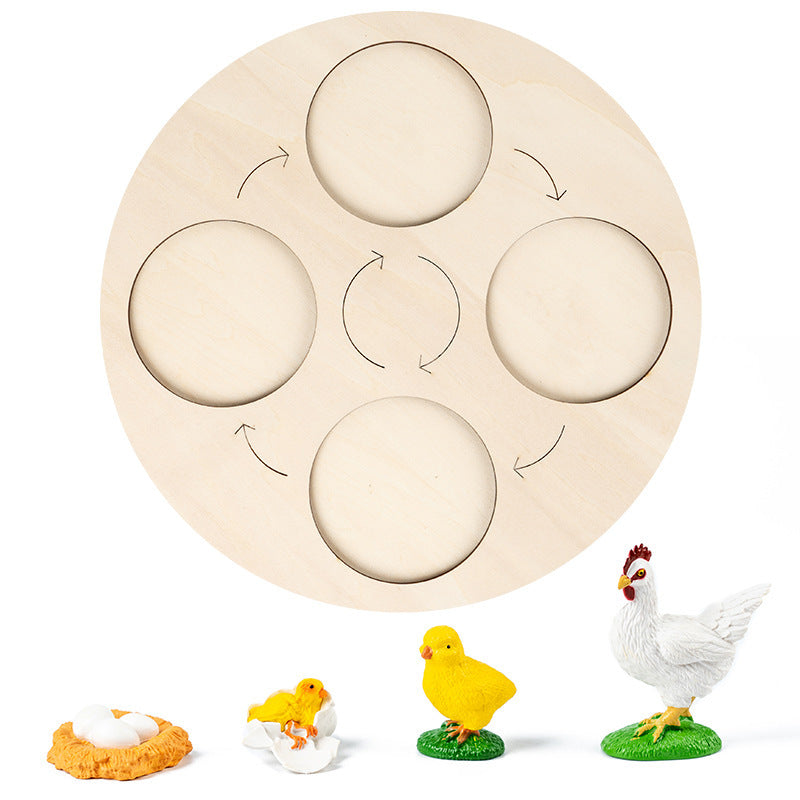Montessori Growth Cycle Board