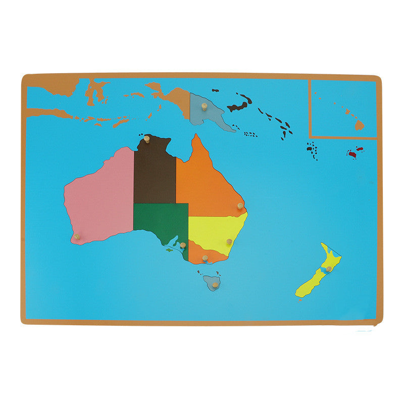 Montessori World Map Puzzle Panel