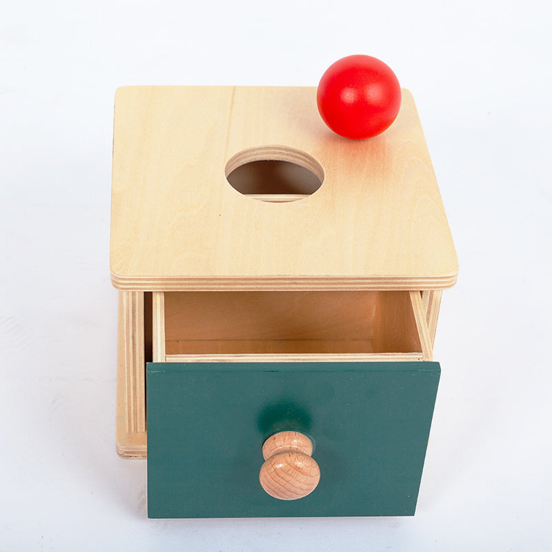 Montessori Wooden Shape Box