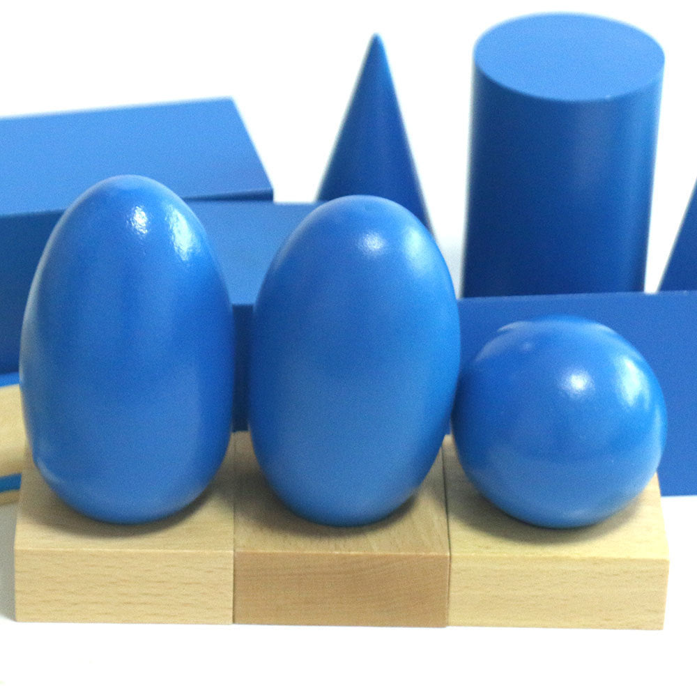 Montessori Geometric Sensory Blocks