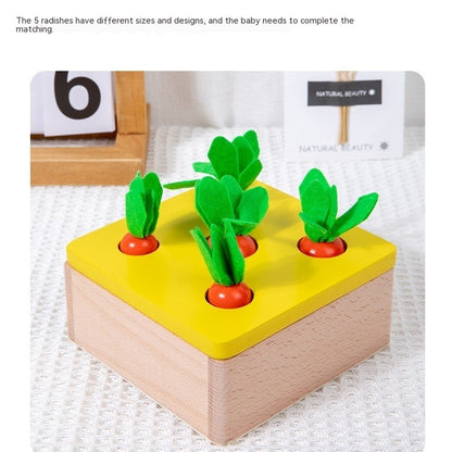 Montessori Four-in-One Smart Box