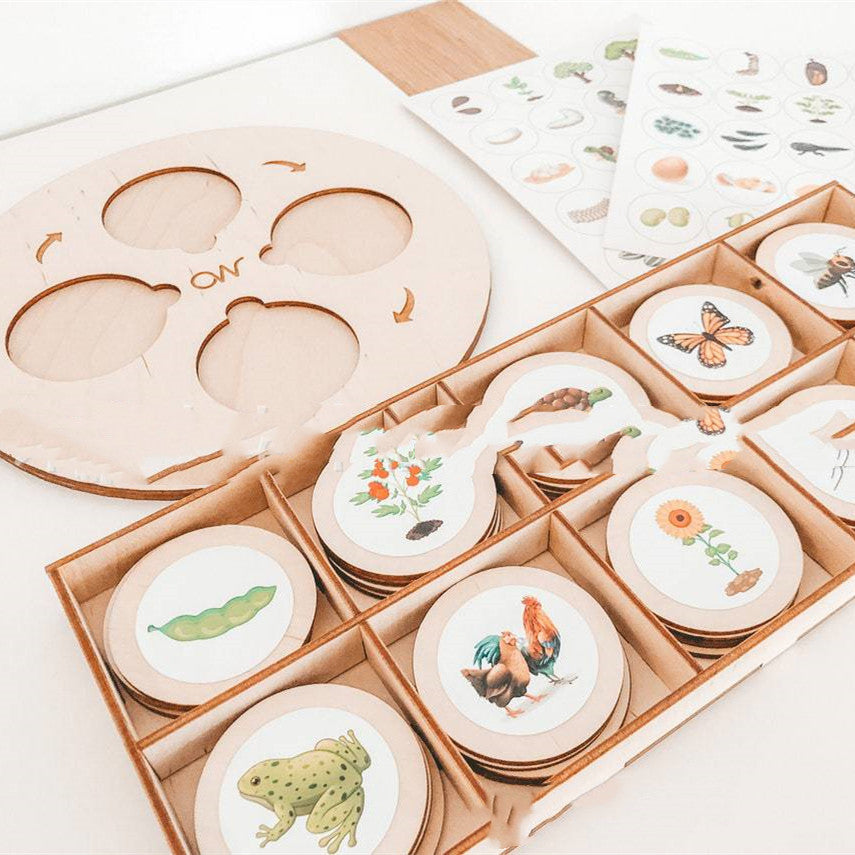 Montessori Life Cycle Tray Set