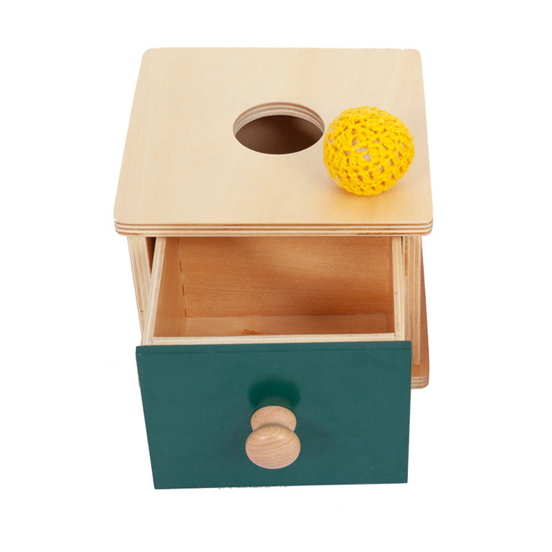 Montessori Wooden Shape Box