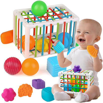 Montessori Grip Training Toy