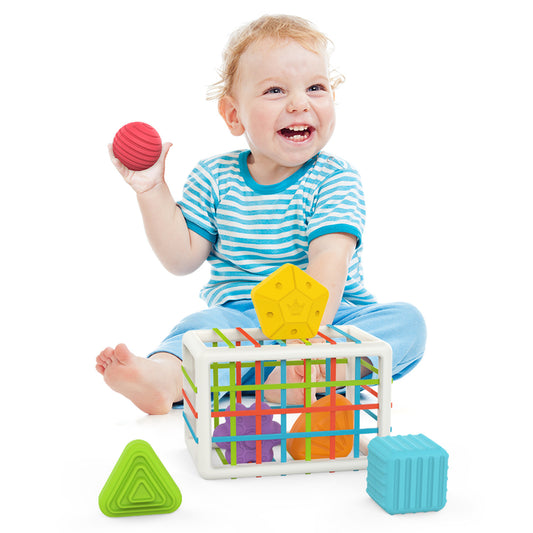 Montessori Grip Training Toy