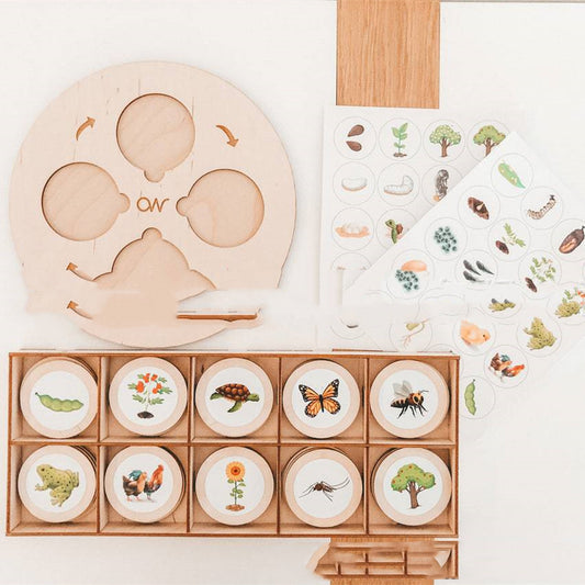 Montessori Life Cycle Tray Set