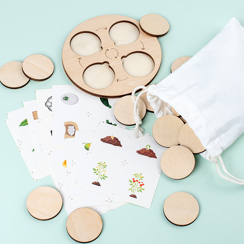 Montessori Life Cycle Wooden Board