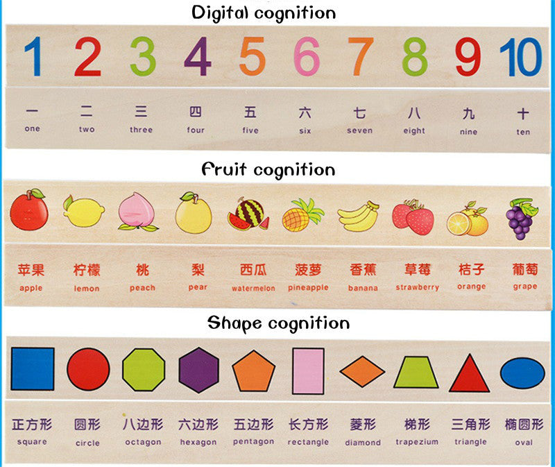 Montessori Wooden Cognitive Box