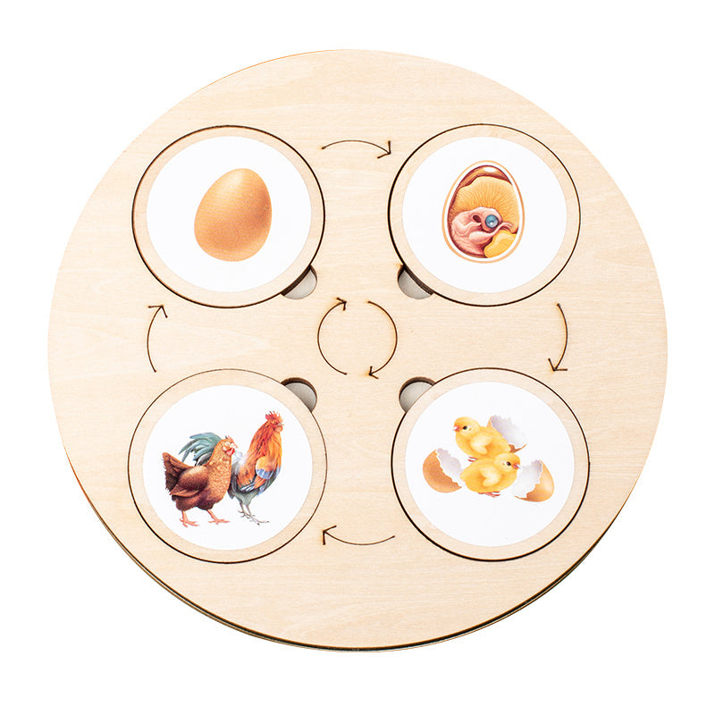 Montessori Life Cycle Wooden Board