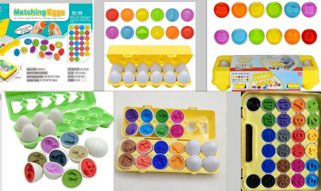 Montessori Smart Egg Matching & Sorting Toy