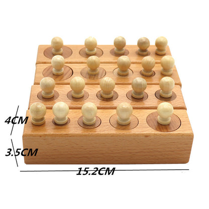 Montessori Wooden Sorting Blocks