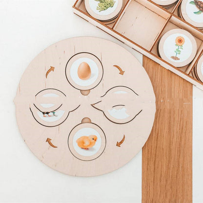 Montessori Life Cycle Tray Set