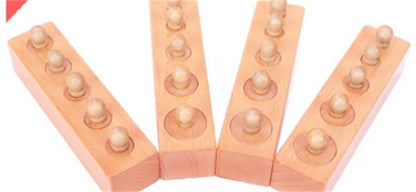 Montessori Wooden Socket Cylinder Set